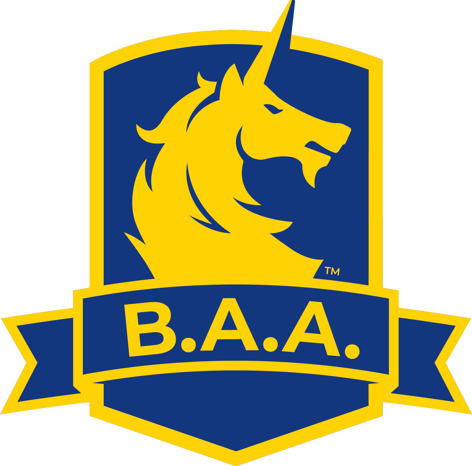 B.A.A. Salesforce Solutions Architect - Running USA
